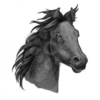 Horse portrait. Dark gray horse profile with wavy mane. Artistic vector sketch portrait