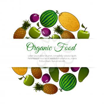 Organic food fruits banner. Vector design for grocery store, food market, magazine book cover. Icons of fresh and juicy fruit watermelon, melon, apple, plum, tropical and exotic avocado, pineapple