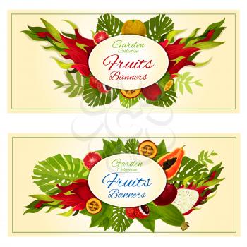 Garden fresh fruits banners. Vector design of tropical exotic fruits in bunch of jungle palm leaves and plants. Orange, lychee, mango, dragon fruit, papaya, avocado, grapefruit, feijoa