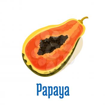 Papaya half cut icon with seeds. Vector emblem of isolated tasty exotic tropical papaya fruit. Design element for juice, jam sticker label, snack package design
