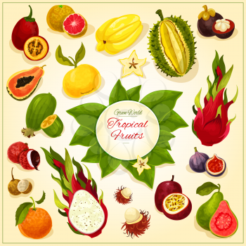 Fruits icons. Vector fruit emblem of isolated tropical and exotic juicy fresh durian, dragon fruit, guava, lychee, feijoa, passion fruit maracuya, figs and rambutan, mangosteen and orange, papaya