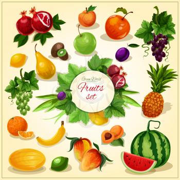 Ripe fruit with leaves poster of juicy apple, banana, orange, grape, mango and pineapple, plum and peach, pear, lemon, watermelon, apricot and kiwi, pomegranate and melon