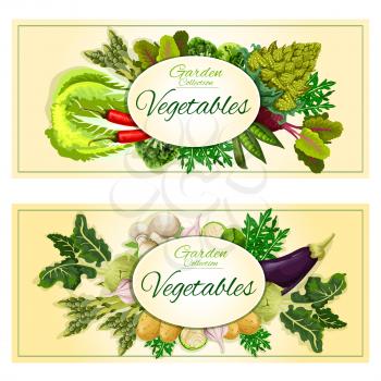 Healthy vegetable and salad leaf banner set with chilli pepper, cabbage and mushroom, garlic and eggplant, potato, beet, broccoli and brussel sprout, romanesco cauliflower, pea, kohlrabi, arugula, asp