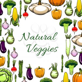 Vegetable poster. Natural veggies frame with pepper, broccoli, radish, cabbage, garlic, corn, eggplant, pumpkin, asparagus, kohlrabi, pattypan squash. Vegetarian menu, farm market design