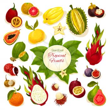 Tropical fruits poster of vector exotic whole and sliced juicy fruits durian, carambola, dragon fruit, guava, lychee, feijoa, passion fruit maracuya, figs, rambutan, mangosteen, orange, papaya, blood 