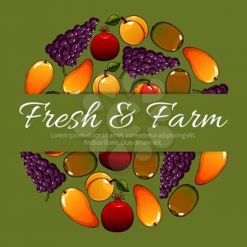 Fresh farm fruits. Vector fruit poster with ripe fruit harvest of juicy tropical mango and exotic kiwi, red grape with pomegranate, sweet apricot or peach. Delicious and healthy organic fruits