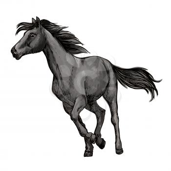 White horse running freely. Wild mustang stallion gallops against wind with waving mane and tail. Vector portrait