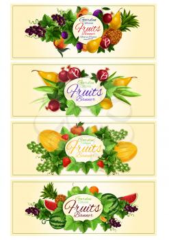 Fruit and berry banner set with apple, strawberry, orange, grape, pineapple, peach, plum, watermelon, mango, pear, melon and leaves placed around oval frame with copy space