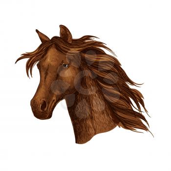 Arabian brown horse race sport emblem. Powerful bay purebred mustang stallion trotter. Equine mare with wavy mane
