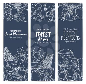 Mushroom shop banners of sketched edible forest mushrooms champignon and chanterelle, russule and milk mushroom or honey agaric, gourmet morel and truffle, woolly milkcap porcini and organic cep. Vert