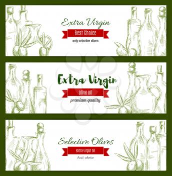 Olives and olive oil sketch. Banners set of green olive branches and oil bottles. Vector sketched design for extra virgin olive oil label. Healthy vegetarian food and Italian, Mediterranean, Greek or 