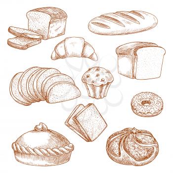 Sketch for baked bread and pastry food. Loaf of sliced anadama and french baguette or baton, brick cereal bakery product, bagel or donut, dough or bun, kifle or kringle, croissant. Bakehouse, shop or 