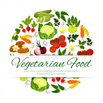 Healthy vegetable, vegetarian food banner. Zucchini or courgette, summer squash and radish, pepper and potato, onion and tomato, laurel and sorrel leaf spices, flower cabbage and kohlrabi.Vegan restau