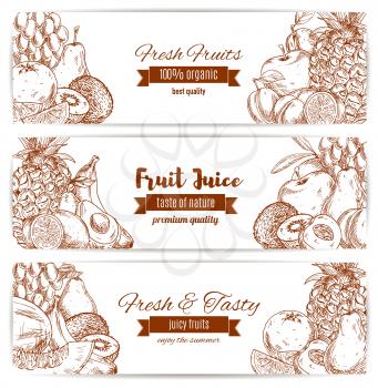 Fruit sketch banner, natural vitamin food. Sweet pear and fresh banana, kiwi and apple, pineapple and apricot, melon and lemon, pomegranate or garnet, grapes. Health and dessert, vegetarian juice ingr