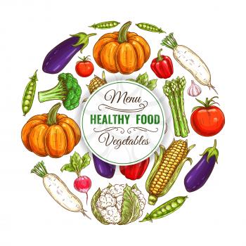 Organic banner of vegetable food diet. Healthy eggplant and vegetarian corn, harvest peas and pumpkin, farm radish and daikon, tomato and pepper, cauliflower and asparagus, Can be used for farm and ga
