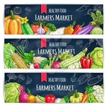 Vegetable banner set with veggies chalk sketch on blackboard. Tomato, pepper, broccoli, carrot, garlic, cabbage, onion, eggplant, radish, corn, potato, pea, cucumber, beet for farmers market design