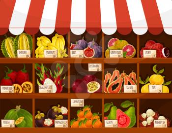 Fruit market or fair stand. Exotic tropical fruits carambola, figs, grapefruit and lichee, tamarillo and durian, dragonfruit and passionfruit. Vector papaya, yuzu and feijoa, mangosteen, tangerine, gu
