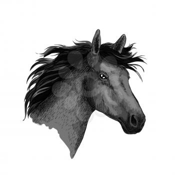 Black horse. Head of mustang stallion or equine foal. Symbol for horse races or racing sport. Wild mare with wavy mane for equestrian horserace riding club, contest bets office or exhibition show
