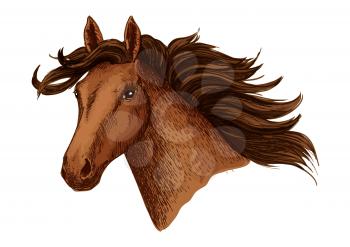 Arabian brown horse. Vector mustang stallion head. Symbol for horse races or racing sport. Wild mare with wavy mane for equestrian horserace club, equine animal riding contest or exhibition
