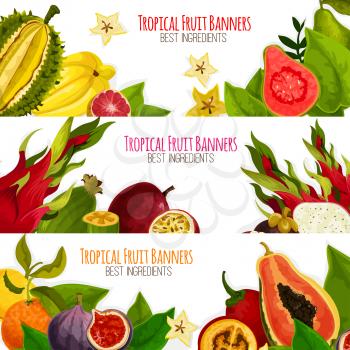 Fruit banners of exotic fruits with tropical fresh mango, grapefruit or red orange, passion fruit maracuya and feijoa, carambola and dragon fruit or pitaya, guava and juicy longan with figs and rambut