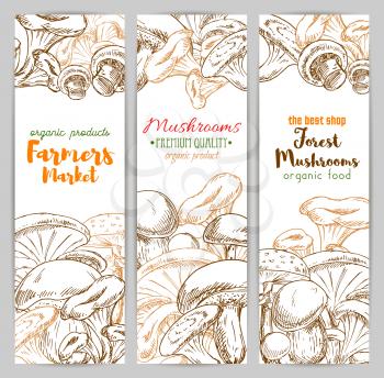 Mushrooms farmer market banners of sketch edible mushrooms champignon, chanterelle, russule and milk mushroom or honey agaric, gourmet morel and truffle, forest woolly milkcap porcini and forest cep. 