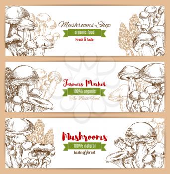 Mushrooms banners of sketched edible mushrooms forest woolly milkcap porcini and forest cep, champignon and chanterelle, russule and milk mushroom or honey agaric, gourmet morel and truffle, . Farmer 