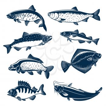 Fishes vector isolated icons of herring, pink or humpback salmon, navaga or saffron cod and carp, flounder and perch, sheatfish or catfish. Blue fish symbols set for seafood restaurant sign, fishing c