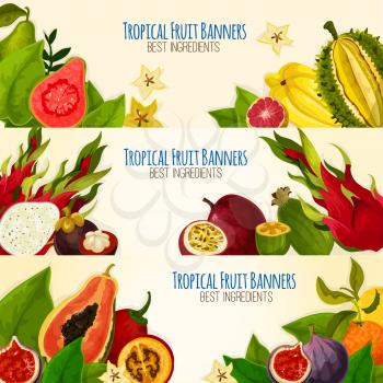 Exotic tropical fruit banner set. Sweet aroma papaya, orange, dragon fruit, feijoa, star fruit, mangosteen, passion fruit, durian, guava and tamarillo with green leaves and slices