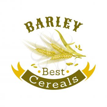 Barley grain cartoon badge. Ripe ear of cereal with ribbon banner and header. Agriculture symbol, organic farm and mill sign design