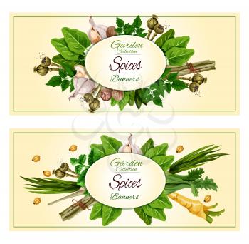 Spices and herbs cartoon banner set. Fresh parsley, mint, garlic, green onion, pepper, nutmeg, cardamom and fennel, celery, sage and lemongrass, poppy seed and sorrel. Spice shop, food packaging label