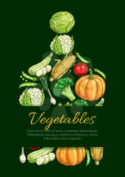 Vegetable cutting board vector poster of cauliflower, broccoli and bell or chili pepper, tomato, zucchini squash and beet, pumpkin, corn and garlic, onion leek and radish. Vegetarian farm food fresh o
