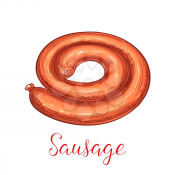 Sausage ring isolated sketch. Spicy beef meat sausage for butchery shop symbol, restaurant grill menu and barbecue party themes design