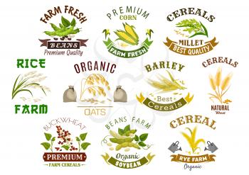 Cereal product icons. Vector template symbols set of wheat flour bag, rye ears and grain, buckwheat seeds and oat or barley millet and rice sheaf. Isolated agriculture corn cob and farm legume beans o