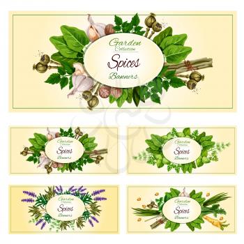 Fresh herbs and spices cartoon banner set. Natural organic rosemary, parsley, mint, basil, dill, garlic, nutmeg, green onion, celery, cardamom, fennel, sage, lemongrass, poppy, sorrel, lavender flower