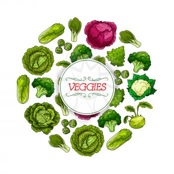 Vegetable round symbol. Cabbage veggies poster with green cabbage, broccoli, cauliflower, kohlrabi, napa cabbage, bok choy, brussel sprouts and romanesco cauliflower. Food packaging label design