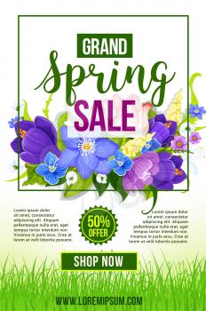 Spring Sale poster with flowers design of crocuses, daffodils and lilies floral bouquet. Vector template frame for 50 percent discount springtime holiday online web store shopping