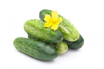 Fresh cucumbers with flower 