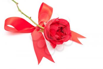 Royalty Free Photo of a Red Rose With a Bow