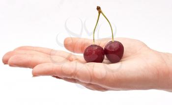Royalty Free Photo of a Hand Holding Red Cherries