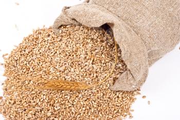 Royalty Free Photo of a Scattered Bag With Wheat of Grain