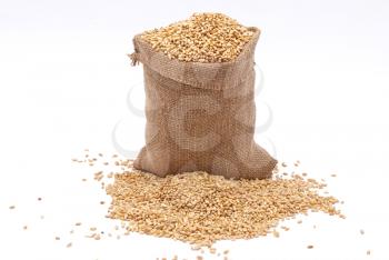  Bag with wheat of a grain