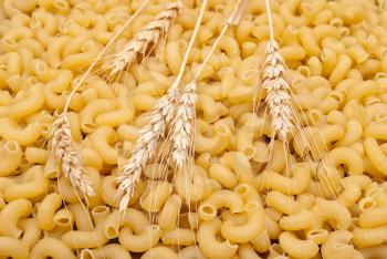 Pasta with wheat ears