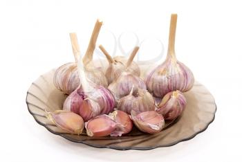 Garlic on plate