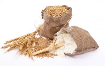 Flour and wheat grain 