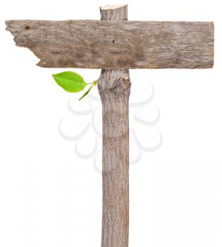 Royalty Free Photo of a Wooden Sign Made Out of Plywood and a Tree Branch With a Leaf 
