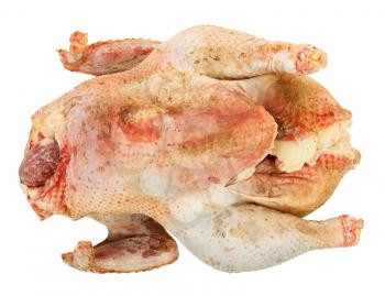 Royalty Free Photo of a Whole Coooked Turkey on a White Background