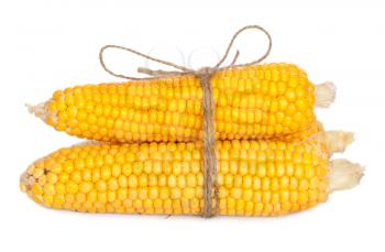 Ear of corn with rope