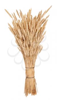 Sheaf of wheat