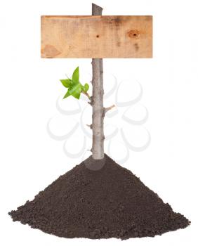 Wood sign board in a pile of soil
