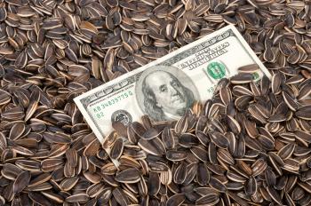Sunflower seeds and dollars